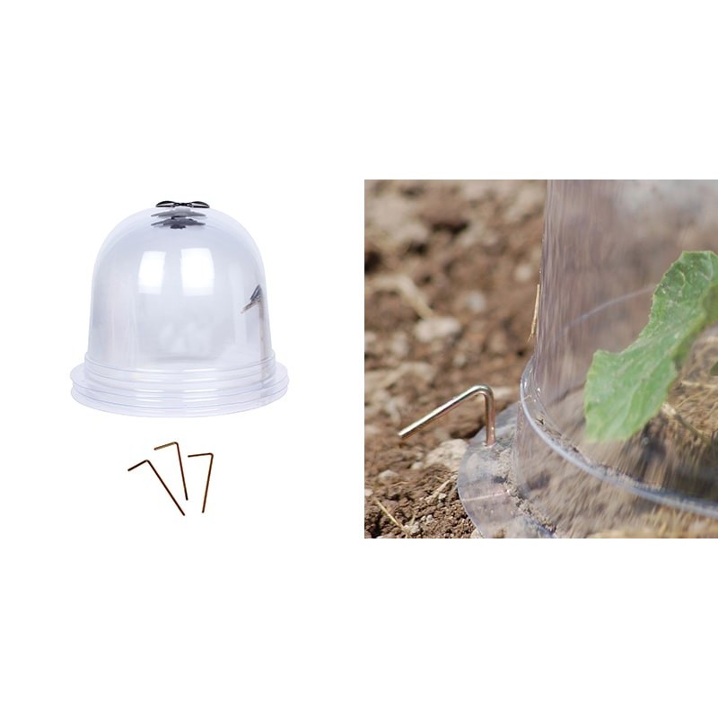 3 CLOCHES A SALADE TRANSPARENTE Ø 25 CM